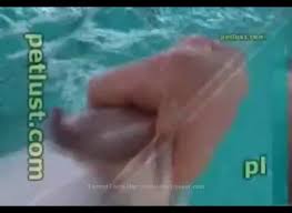Man fucks dolphin jpg x Man fucks dolphin