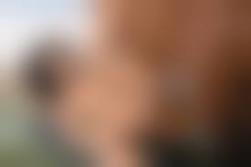 zoo pornj actresses|Zoo Porn Actresses And Animal Sex Beast Models – BeastSexStars.Net