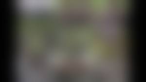 JK放尿 無修正|14 4月 2015 | 汚物箱