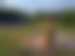 rajce.idnes.cz 2018|Léto 2018, III. turnus, 5.den – PLAVECKÝ KLUB ZLÍN – album na Rajčeti