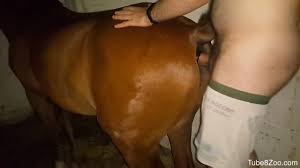 Mzansi porn pics huge horse cock man fucking her pussy standing jpg x Guy fucking horse