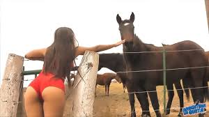 Girls fucked horses compilation jpg x Woman gets fucked by horse