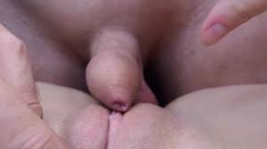 A akyra sucking small dick jpg x Very small cock