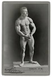 Universal fitness jpg x Universal fitness