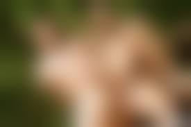 men gay fuck porn|Amateur Gay Porn Movies & Free Gay Sex Videos – Straight Guys Naked