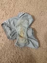 Schoolgirl shows dirty crusty panties gusset after days of wearing jpg x Dirty gusset