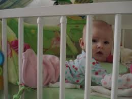  rajce  babyrajce idnes|wild-baby – seznam alb na Rajčeti