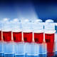 Britain Approves Three-Parent Embryos - Sci