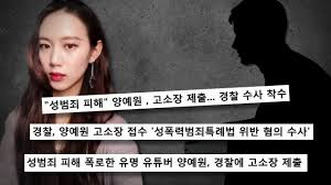 양예원 유출사진|양예원 유출사진 최초 촬영자 영장심사… 밤늦게 결정날 듯 | 한국경제