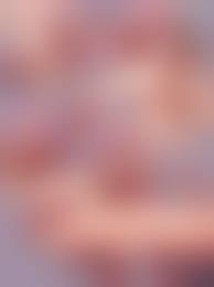 Terufuu|Lana's Mother – Terufuu – Pokemon