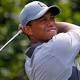 Tiger appears at clinic day after WD from Safeway 
