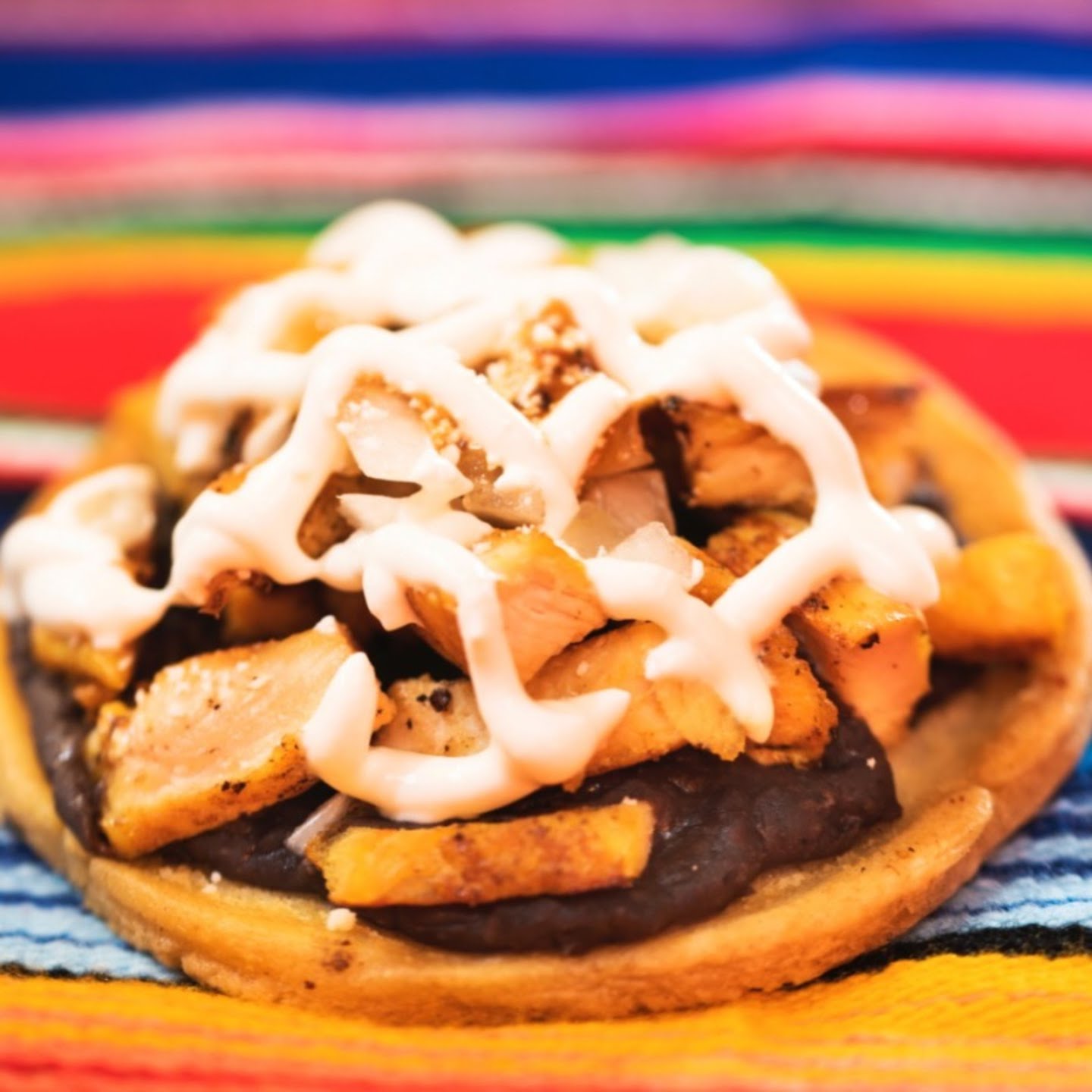 Homemade Taqueria by null