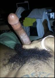 Hairy penis jpg x Hairy penis