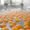 <b>冬至</b>のゆず湯 来年も元気に 金沢の銭湯