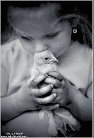 " images?q=tbn:ANd9GcTDlsDYJ_EkaogQi3_mED-1JYHfiNB-jn6_AO683Xe6mVtOqpz4fw