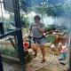 Singapore Zika cases top 150; China steps up arrivals checks 