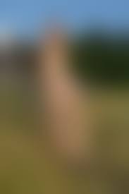 brown girls18.com nude porn |FamilyTabu.com: Amateur - Real Sisters Kira and Kara from Girls18 bathing  SD 240p » Keep2Share Porno