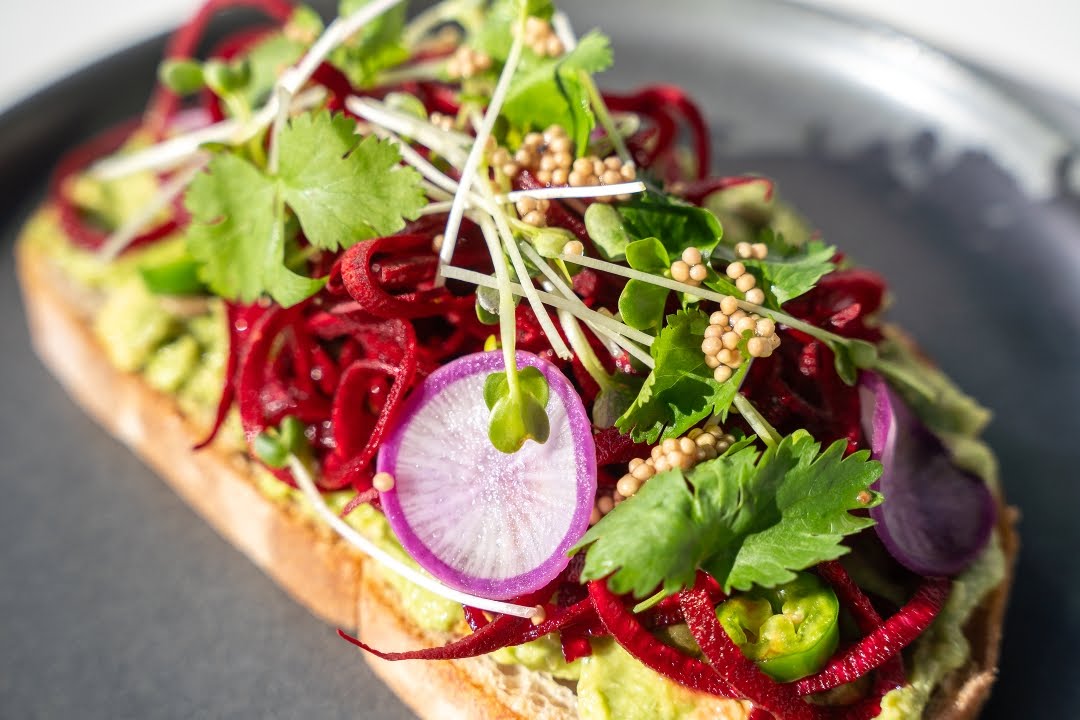 Parakeet Cafe - La Jolla by null