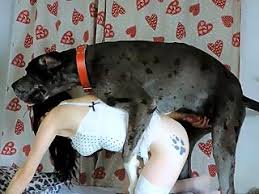 Sex with dogs videos jpg x Sex with dogs videos