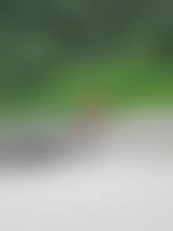 rajce.idnes.pee piss -18|Amateur Voyeur Forum - rajce.idnes.cz - czech photoalbum