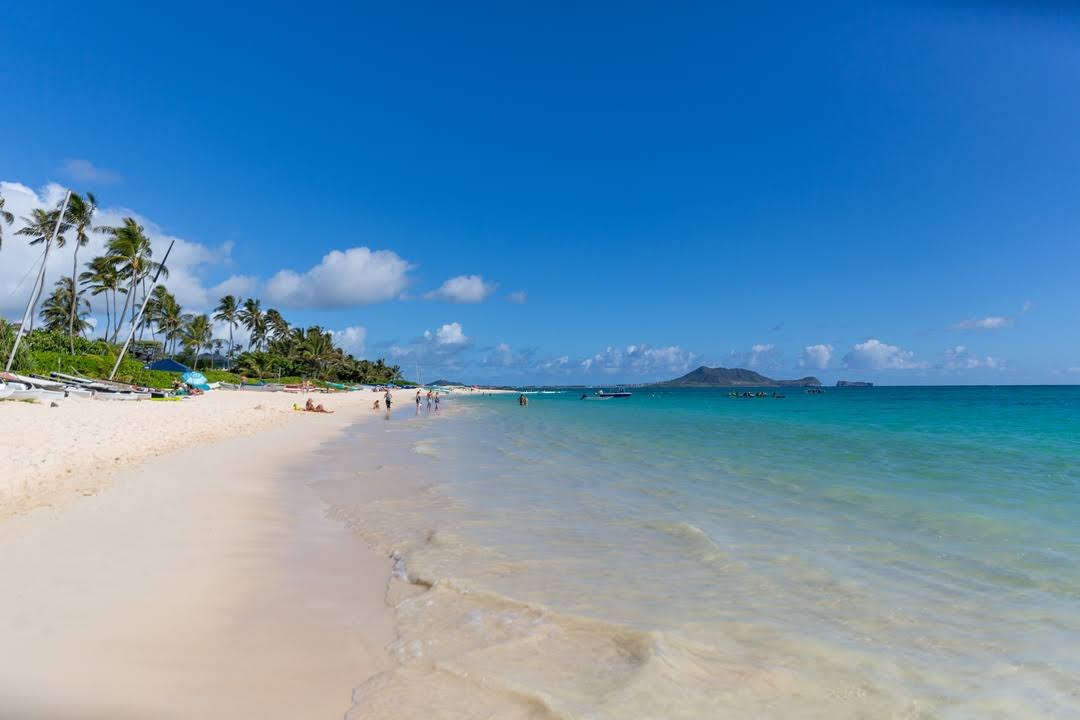 Fotografija Plaža Lanikai z svetel fin pesek površino