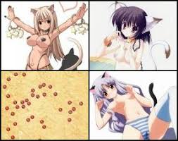 Cat girls luscious hentai manga porn jpg x Hentai catgirl