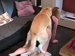 Zoofilia video bitch jpg x Sex with dogs videos