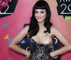 Do not hose down jpg x Katy perry tits