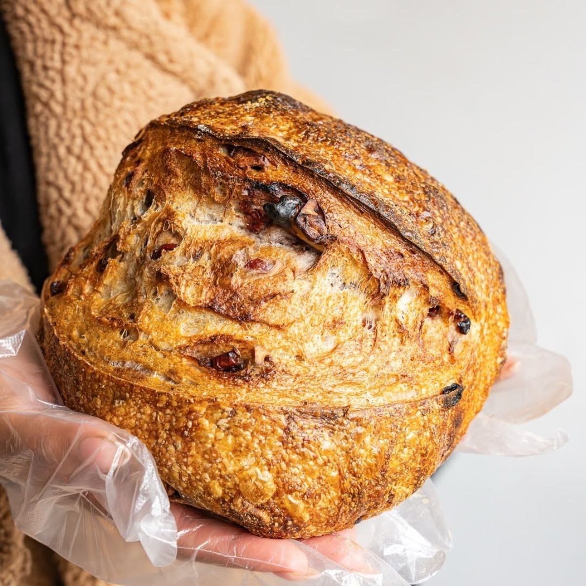 Masa Madre by null
