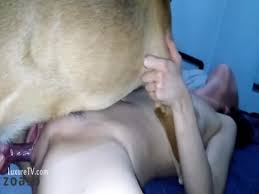 Top amateurs artofzoo home of animal porn jpg x Amature dog