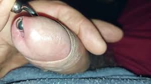 Pierced cock jpg x Pierced cock