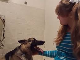 Sexo con perros jpg x Sexo con perros