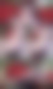 fetus cum hentai|🔞Bottle of Bugs | Animals Hentai | Truyen-Hentai.com