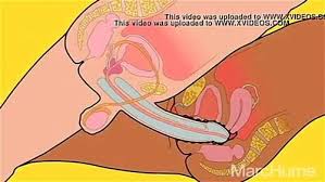 Search women sex jpg x Women sex videos