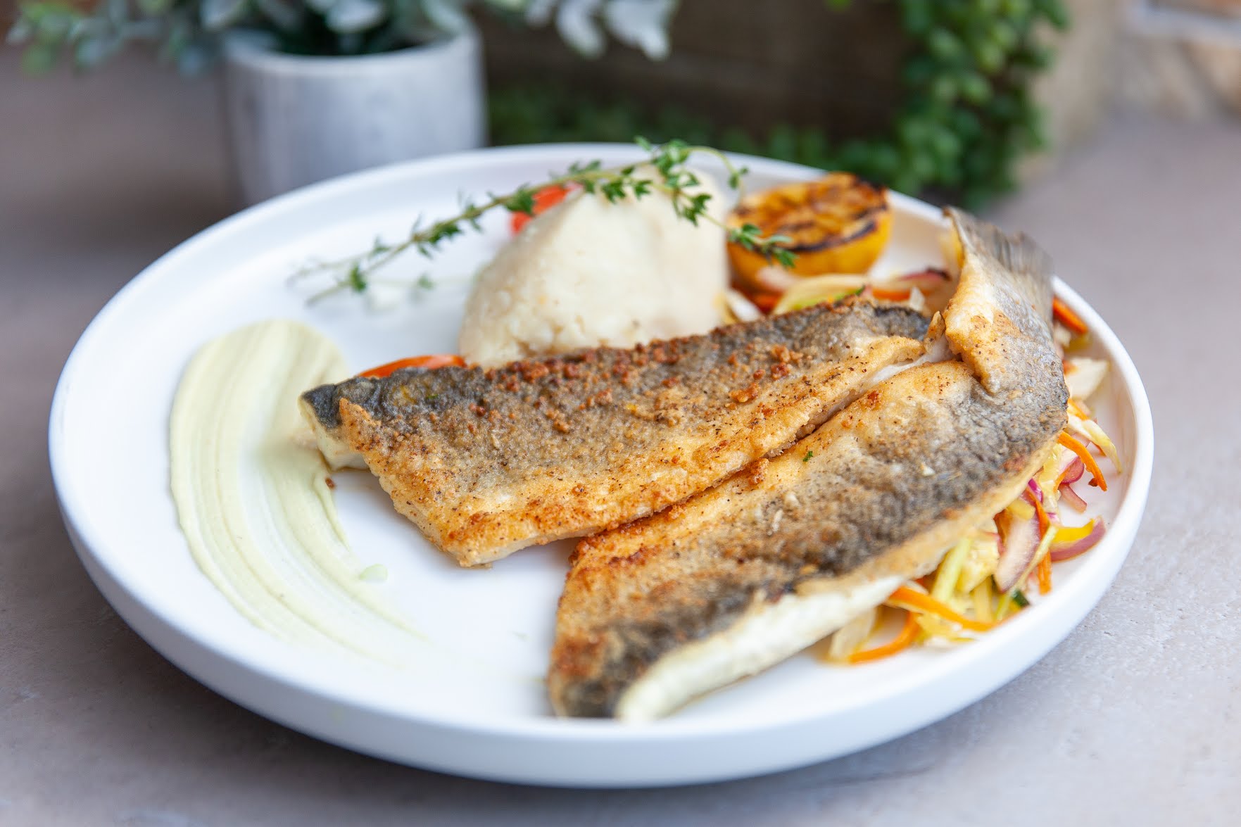 The Harbour Grill by null