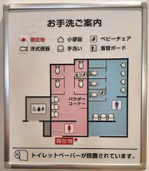 中国女子トイレ覗きスポット|最近は綺麗になってきてるようです！#中国 #中国人 #ニーハオトイレ | TikTok