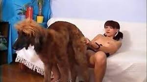 Naughty woman fucks dog in hiding jpg x Girl fucks dogs