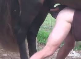 Ehorse man fucks pony niceee men and animals petlust jpg x Man fuck horse