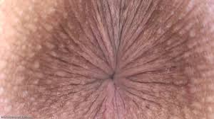 Close up butthole wink mov jpg x Butthole close up