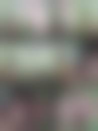 Ngintip mandi siswi smp |tutup oli (@ZdZidanet) / X