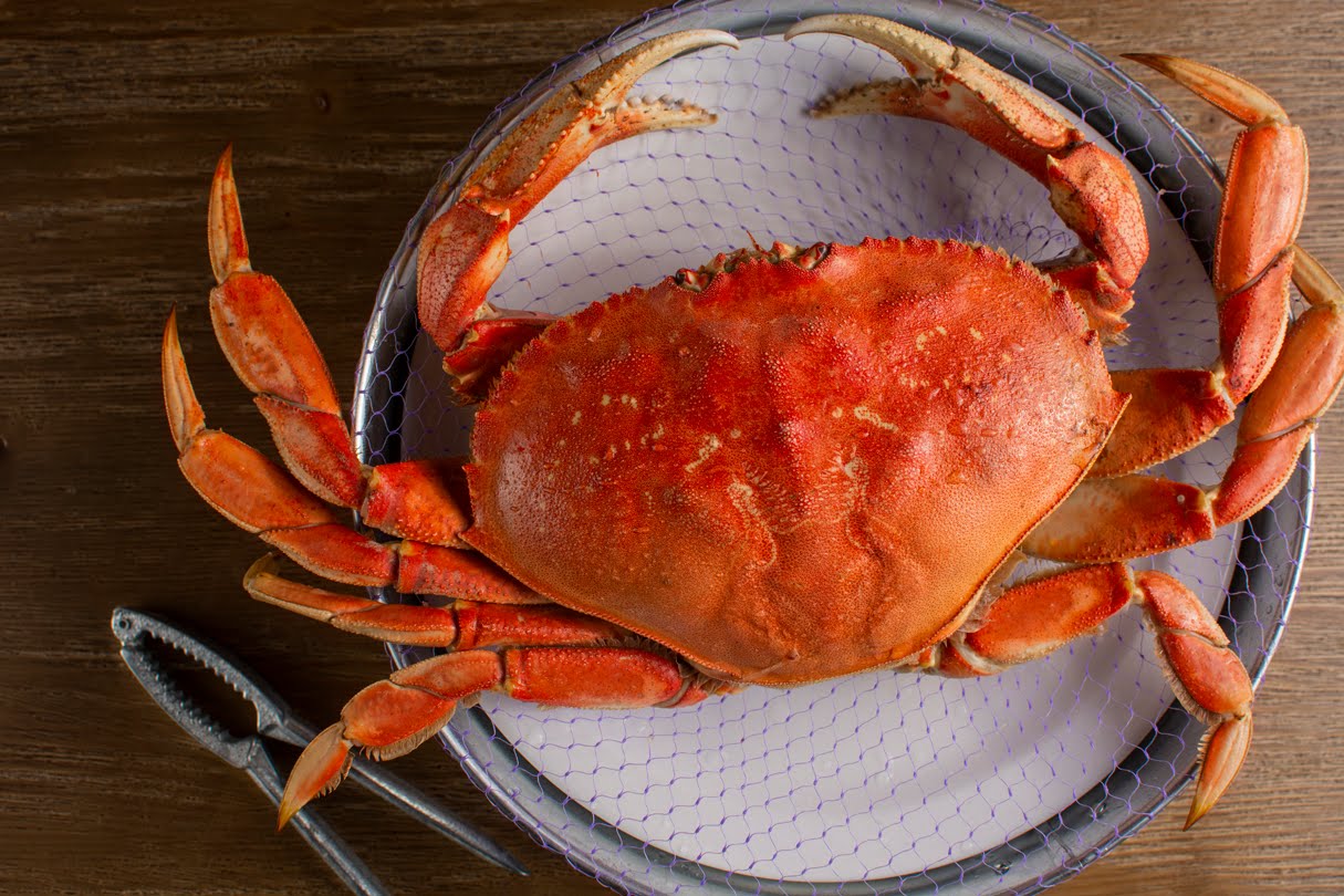 Supreme Crab Seafood Buffet by null