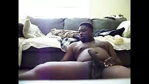 Black bear at macho tube jpg x Ebony bear