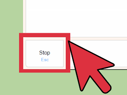 omeogle hebe|Furry Weekend Omegle by Dragonous3 on DeviantArt