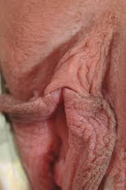 Vagina pussy closeup sex porno artofpussy on deviantart jpg x Vagina pussy close up