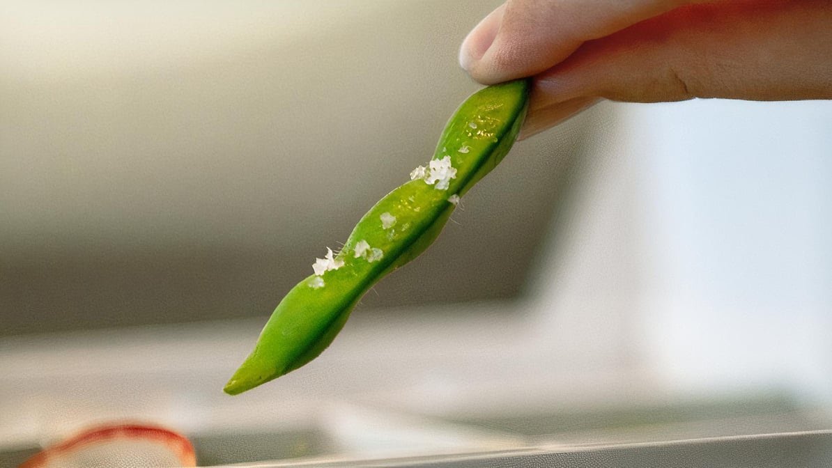 Yunomi Handroll by null