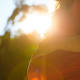 Why morning sickness may be a good thing 