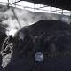 Air Pollution Becomes Israel-Palestinian Wedge Issue 
