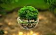 Image result for u202bچگونه اب زن ميپاشدu202c
