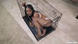 Cage big tits jpg x Cage big tits