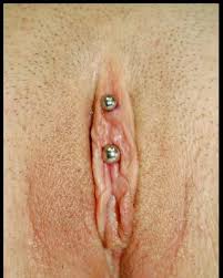 Pussy piercing outer labia piercing jpg x Vagina piercing